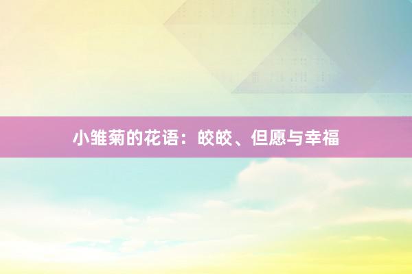 小雏菊的花语：皎皎、但愿与幸福