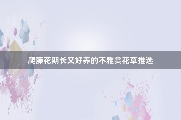 爬藤花期长又好养的不雅赏花草推选