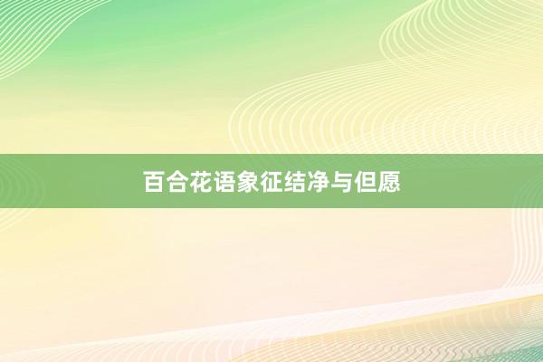 百合花语象征结净与但愿